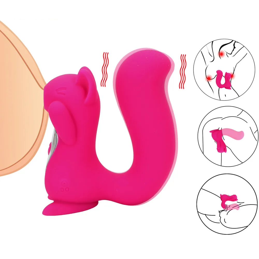 Vibrador Succionador Estimulador de Clitoris Recargable Punto G Silicona Ardilla