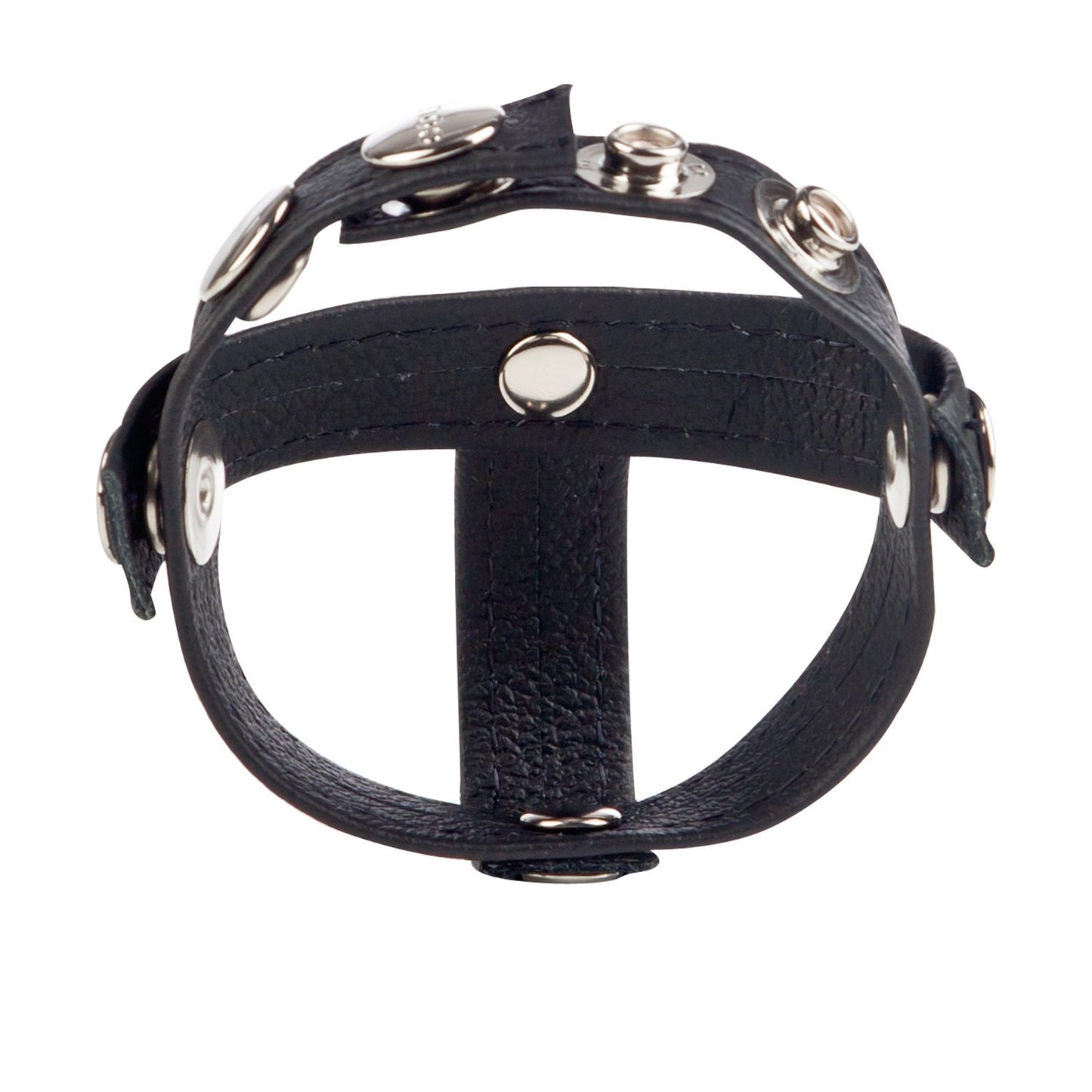 Colt Leather H-piece Anillo De Retención Ajustable Piel Para El Pene Testículo Leather Cock Ring