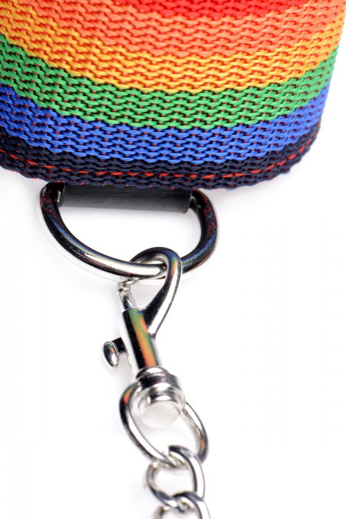 Esposas Principiantes Collar Correa Bdsm Gay Kinky Pride Rainbow Bondage Set