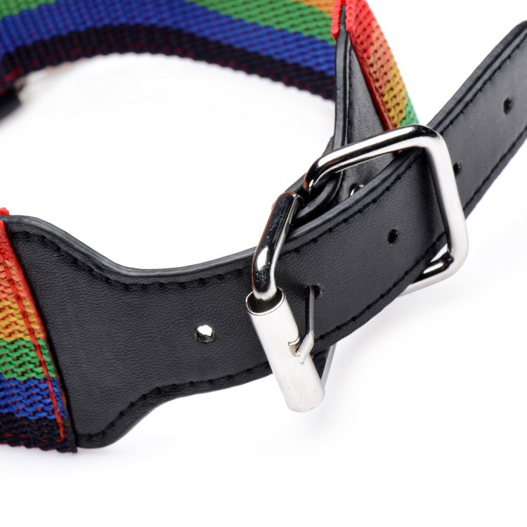 Esposas Principiantes Collar Correa Bdsm Gay Kinky Pride Rainbow Bondage Set
