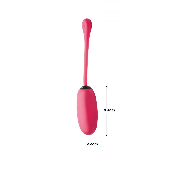 Huevo Vibrador Vaginal, Control R Vibrador Recargable Bala Control Remoto Silicona