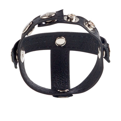 Colt Leather H-piece Anillo De Retención Ajustable Piel Para El Pene Testículo Leather Cock Ring