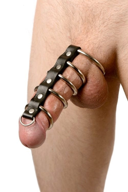 Cock Gear Pene Anillo De Castidad Jaula 5 Anillos Cock Gear Gates of Hell Snakecharmer Cage with D-Ring