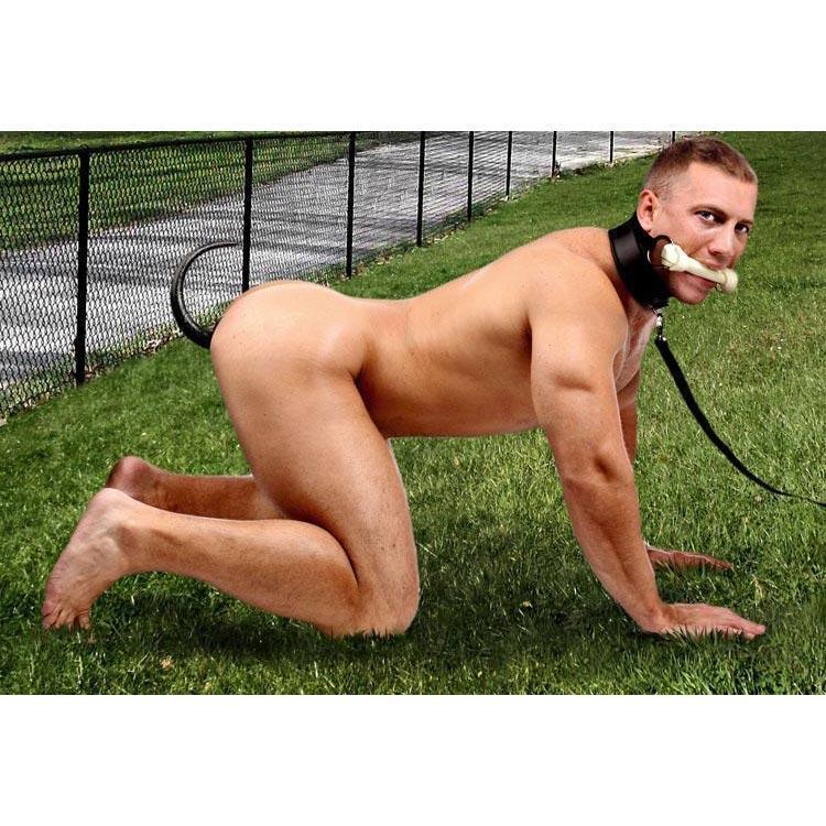 Plug Anal Cola Perro Correa Mordaza Bdsm Sumision Puppy Play Set